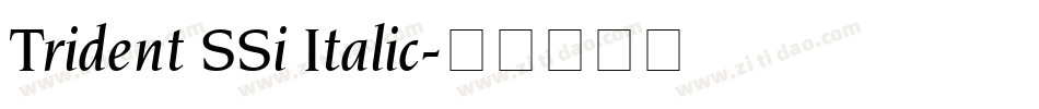 Trident SSi Italic字体转换